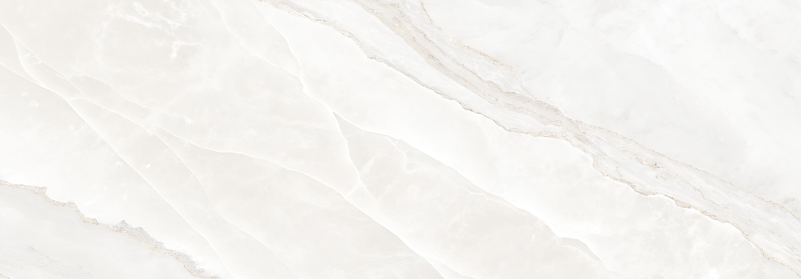 Form Background