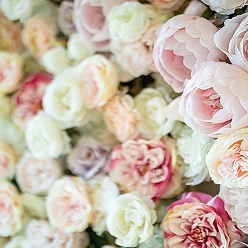 Assorted pastel flowers in soft focus background